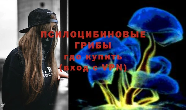 таблы Верея