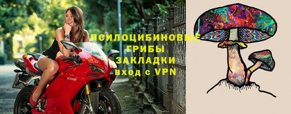 ГАЛЛЮЦИНОГЕННЫЕ ГРИБЫ Верхнеуральск