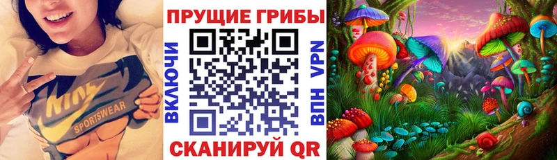 Купить где  Приморск  Псилоцибиновые грибы мухоморы 